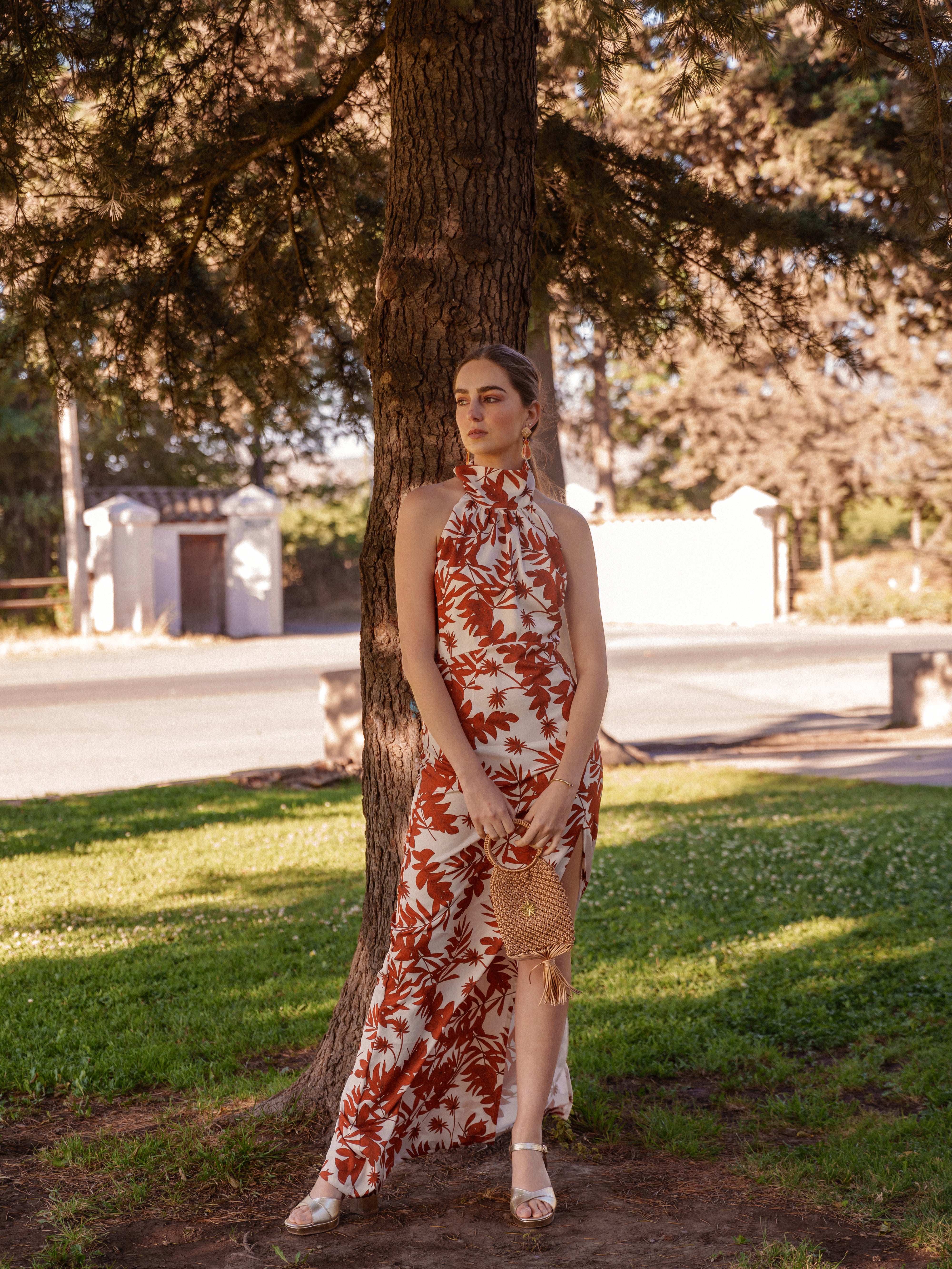 Vestido Vera Terracota Print